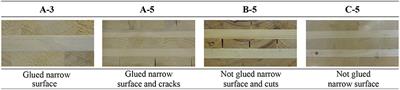 Cross Laminated Timber (CLT) Beams Loaded in Plane: Testing Stiffness and Shear Strength